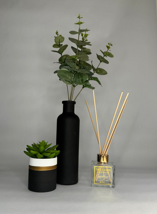Cube Clear Glass Diffuser