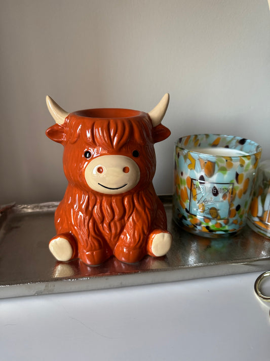 Lewis the Highland Coo